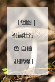组图｜祝福壮行色 自信赴鹏程