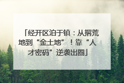 经开区泊于镇：从撂荒地到“金土地”！靠“人才密码”逆袭出圈