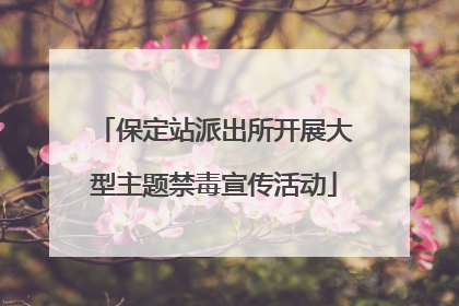 保定站派出所开展大型主题禁毒宣传活动