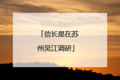 信长星在苏州吴江调研