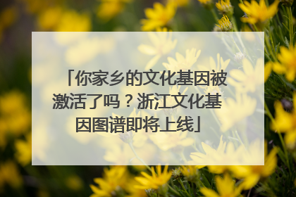 你家乡的文化基因被激活了吗？浙江文化基因图谱即将上线