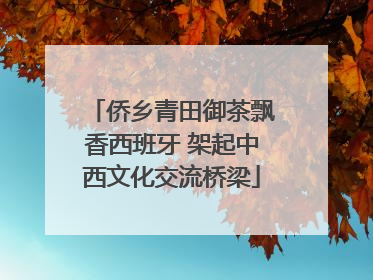 侨乡青田御茶飘香西班牙 架起中西文化交流桥梁