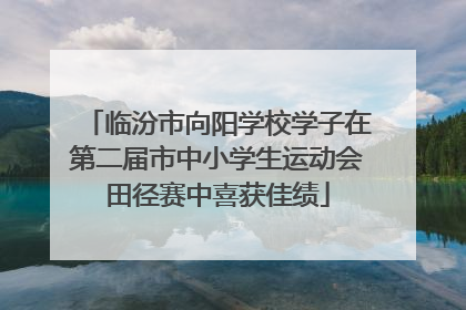 临汾市向阳学校学子在第二届市中小学生运动会田径赛中喜获佳绩