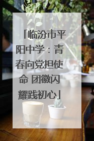 临汾市平阳中学：青春向党担使命 团徽闪耀践初心
