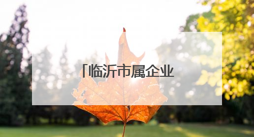 临沂市属企业重组整合方案已完成初稿