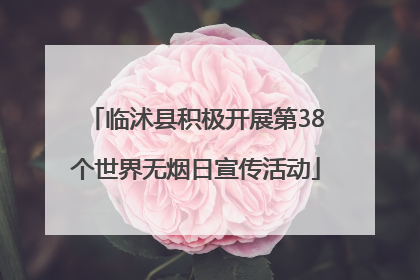 临沭县积极开展第38个世界无烟日宣传活动