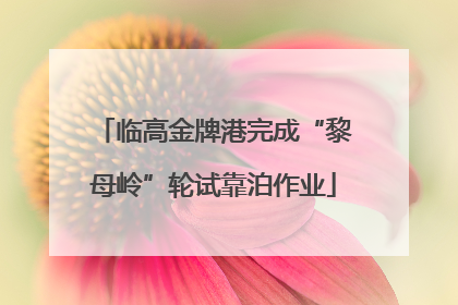 临高金牌港完成“黎母岭”轮试靠泊作业