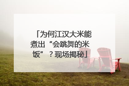 为何江汉大米能煮出“会跳舞的米饭”？现场揭秘
