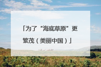 为了“海底草原”更繁茂（美丽中国）