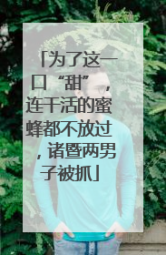 为了这一口“甜”，连干活的蜜蜂都不放过，诸暨两男子被抓