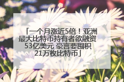 一个月涨近5倍！亚洲最大比特币持有者欲融资53亿美元 豪言要囤积21万枚比特币