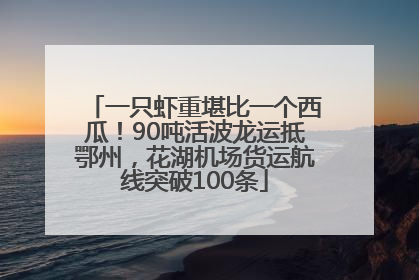 一只虾重堪比一个西瓜！90吨活波龙运抵鄂州，花湖机场货运航线突破100条