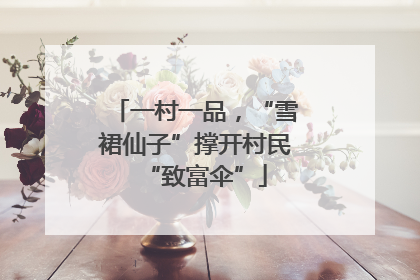 一村一品，“雪裙仙子”撑开村民“致富伞”