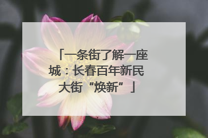 一条街了解一座城：长春百年新民大街“焕新”