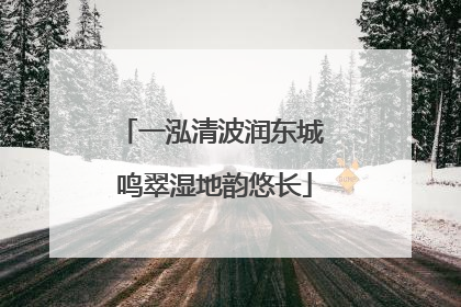 一泓清波润东城 鸣翠湿地韵悠长