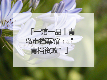 一馆一品丨青岛市档案馆：“青档资政”