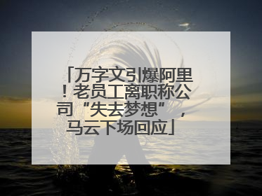 万字文引爆阿里！老员工离职称公司“失去梦想”，马云下场回应