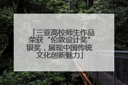 三亚高校师生作品荣获“伦敦设计奖”银奖，展现中国传统文化创新魅力