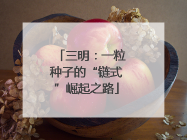 三明：一粒种子的“链式”崛起之路
