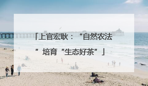 上官宏耿：“自然农法”培育“生态好茶”