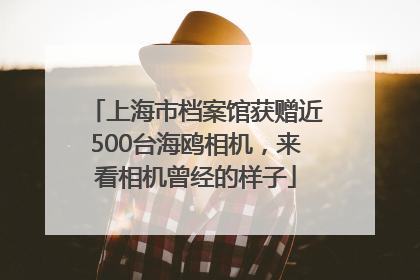上海市档案馆获赠近500台海鸥相机，来看相机曾经的样子