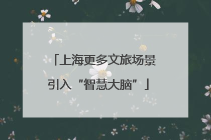 上海更多文旅场景引入“智慧大脑”