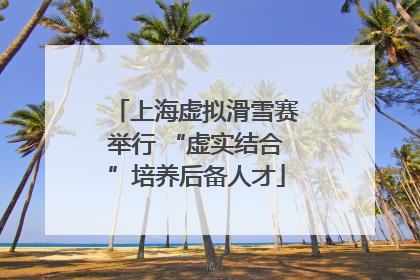 上海虚拟滑雪赛举行 “虚实结合”培养后备人才
