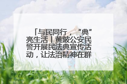 与民同行，“典”亮生活丨黄陂公安民警开展民法典宣传活动，让法治精神在群众心中落地生根