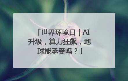 世界环境日｜AI升级，算力狂飙，地球能承受吗？