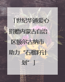 世纪华通爱心捐赠内蒙古自治区额尔古纳市 助力“石榴籽计划”