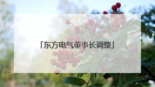 东方电气董事长调整