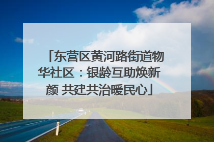 东营区黄河路街道物华社区：银龄互助焕新颜 共建共治暖民心