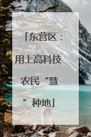 东营区：用上高科技 农民“慧”种地