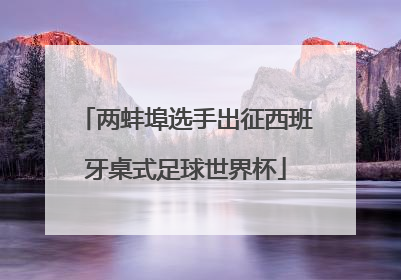 两蚌埠选手出征西班牙桌式足球世界杯