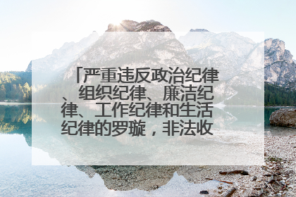 严重违反政治纪律、组织纪律、廉洁纪律、工作纪律和生活纪律的罗璇，非法收受他人巨额财物