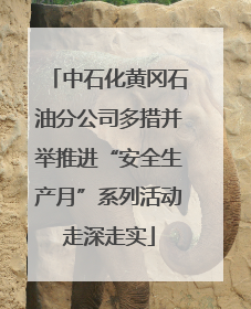 中石化黄冈石油分公司多措并举推进“安全生产月”系列活动走深走实