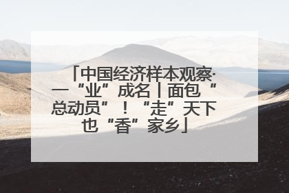 中国经济样本观察·一“业”成名丨面包“总动员”！“走”天下也“香”家乡