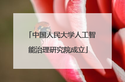 中国人民大学人工智能治理研究院成立