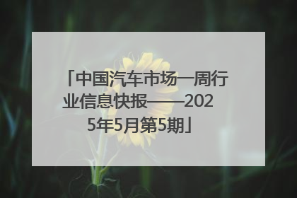 中国汽车市场一周行业信息快报——2025年5月第5期