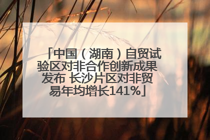 中国（湖南）自贸试验区对非合作创新成果发布 长沙片区对非贸易年均增长141%