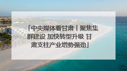 中央媒体看甘肃丨聚焦集群建设 加快转型升级 甘肃支柱产业增势强劲