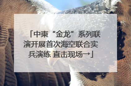 中柬“金龙”系列联演开展首次海空联合实兵演练 直击现场→