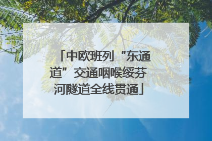 中欧班列“东通道”交通咽喉绥芬河隧道全线贯通