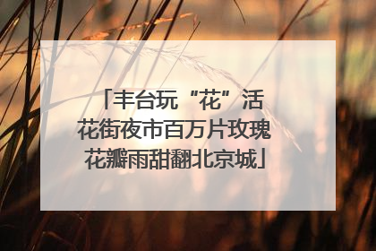丰台玩“花”活 花街夜市百万片玫瑰花瓣雨甜翻北京城