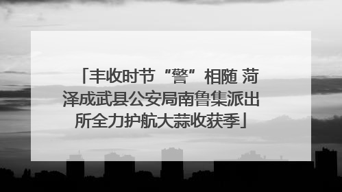 丰收时节“警”相随 菏泽成武县公安局南鲁集派出所全力护航大蒜收获季