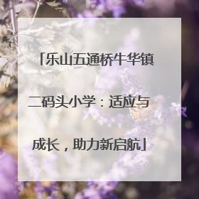 乐山五通桥牛华镇二码头小学：适应与成长，助力新启航