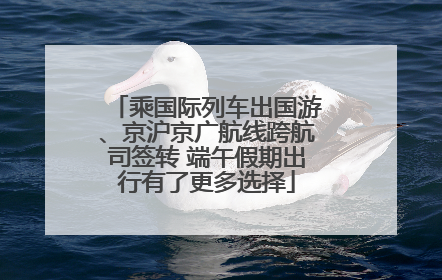 乘国际列车出国游、京沪京广航线跨航司签转 端午假期出行有了更多选择