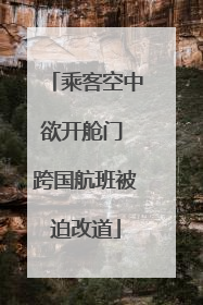 乘客空中欲开舱门 跨国航班被迫改道