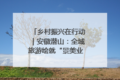 乡村振兴在行动｜安徽潜山：全域旅游绘就“景美业兴民富”新画卷