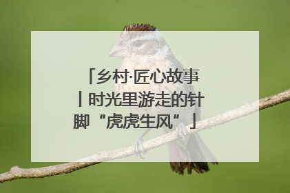 乡村·匠心故事丨时光里游走的针脚“虎虎生风”